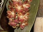 : - Phalaenopsis gigantea