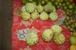 Zimtapfel - Annona squamosa
