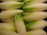 Endivie - Cichorium endivia