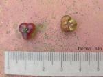 : - Aparisthmium cordatum