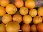 Minneola - Citrus tangelo