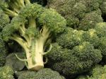 Gemüsekohl - Brassica cretica